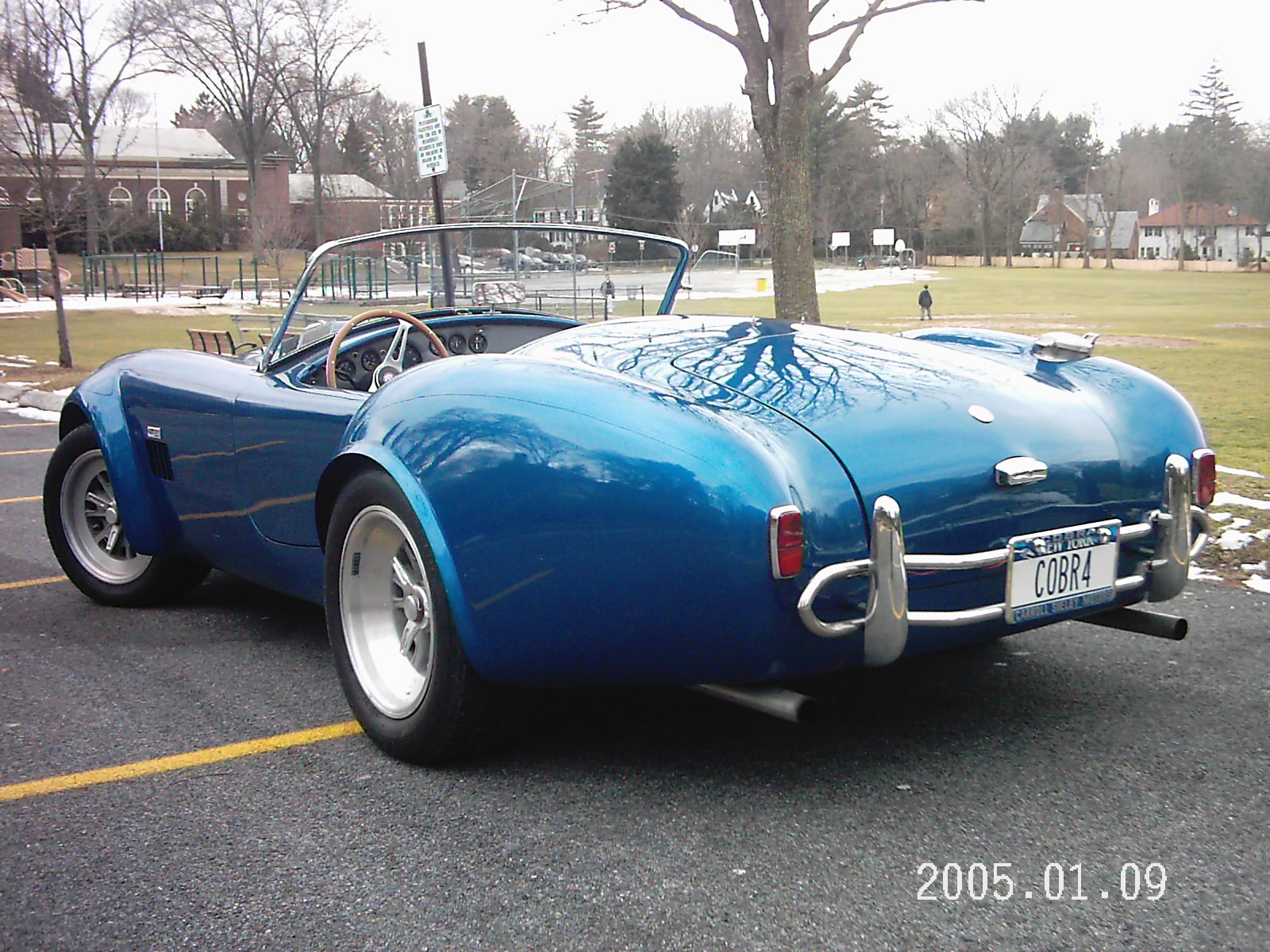 19270Contemporary_Cobra_4