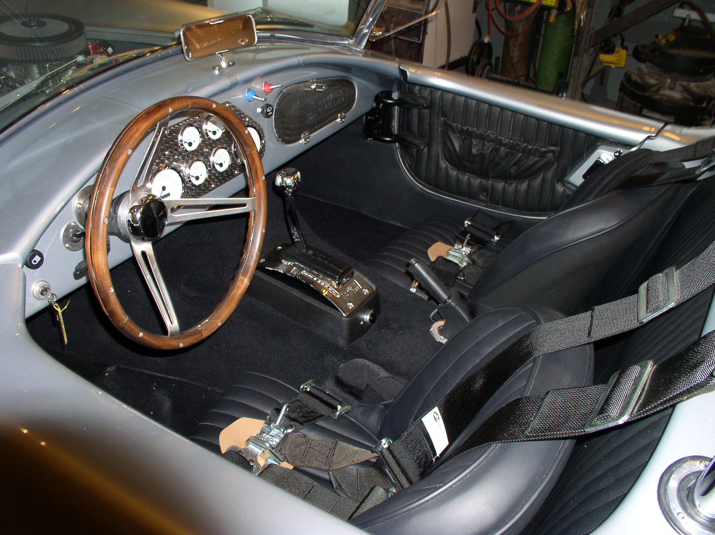 19318Cobra_for_ins_006