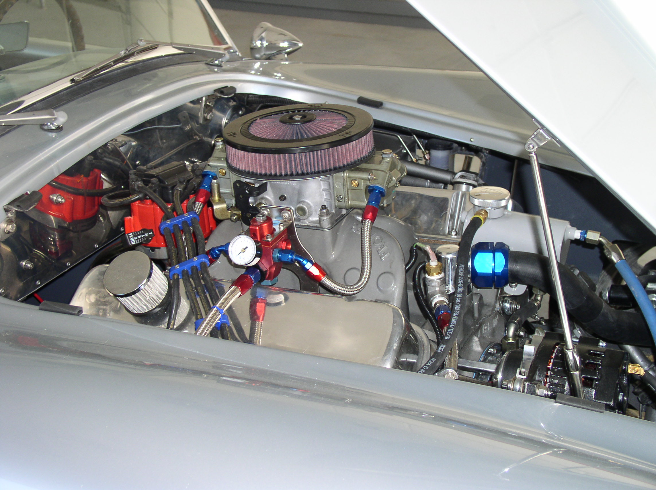 19318cobra_running_003