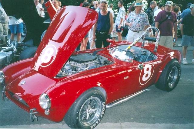 19356cobra8