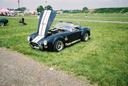 19596cobra