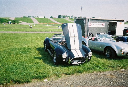 19596cobra2