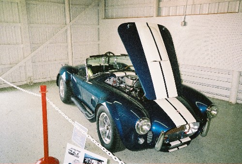 19596showcobra