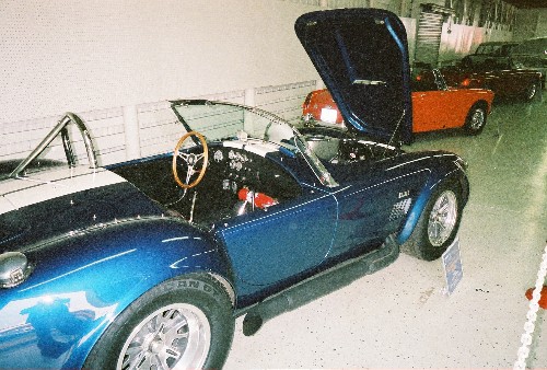 19596showcobra2