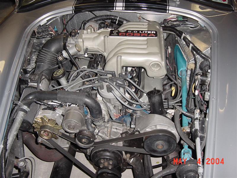 19991DSC02456_Medium_