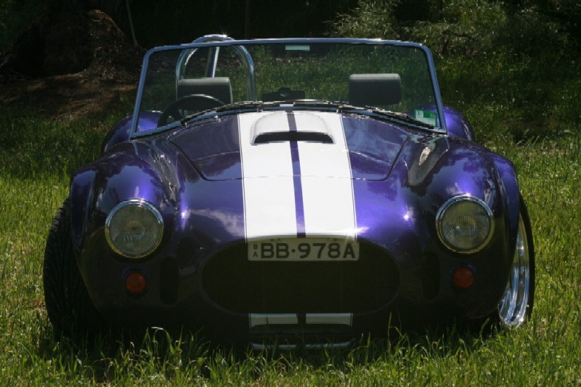 20004Cobra_painted_005