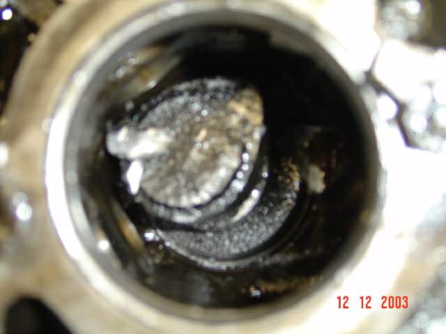 20004Upload_Pictures_019