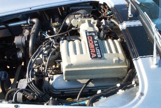 20024Copy_of_COBRA_3