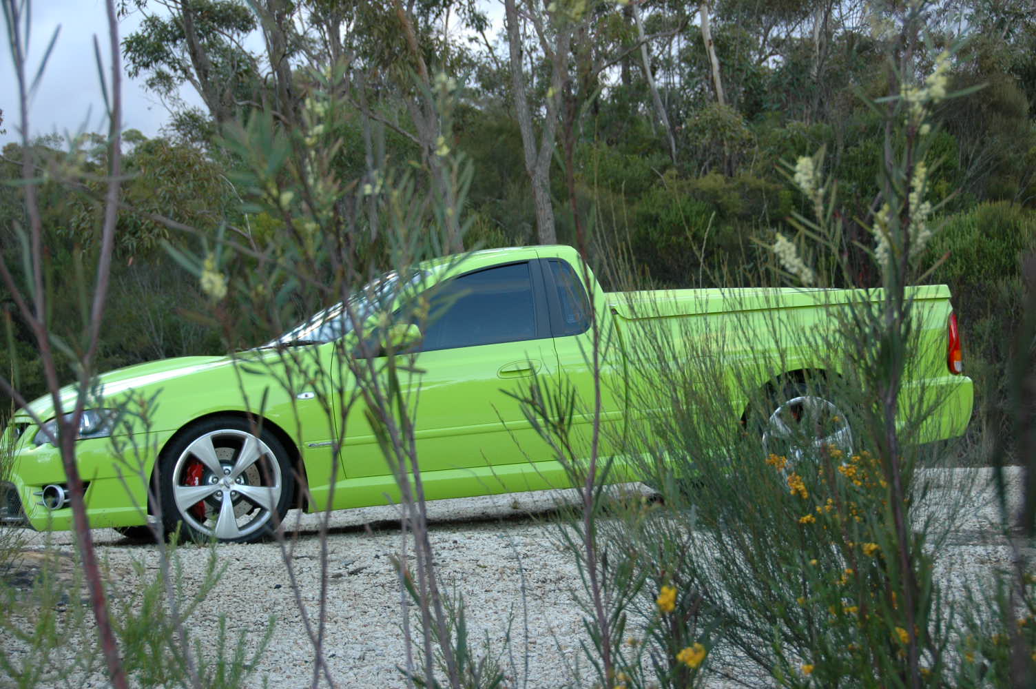 2006ute_023