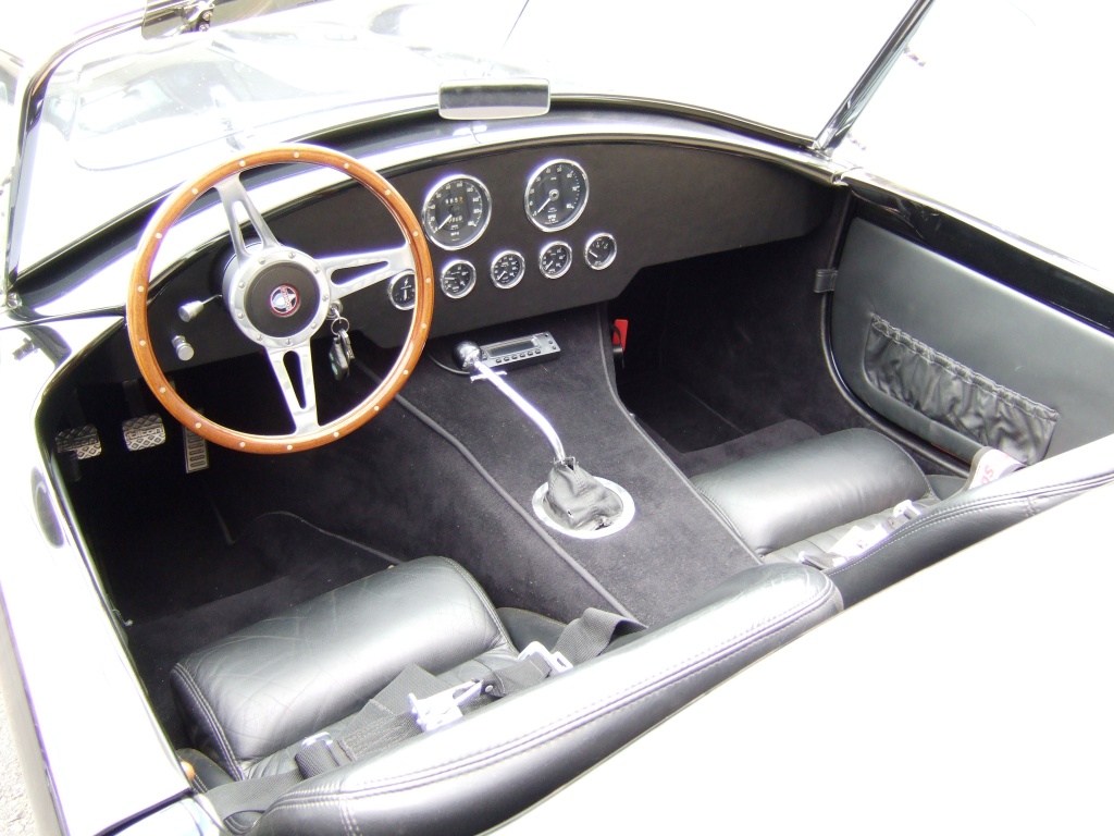 2007_0616CobraPics0002