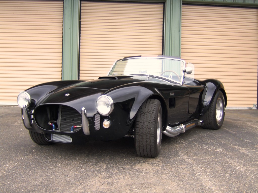 2007_0616CobraPics0003