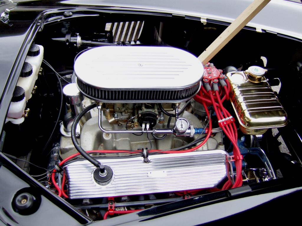 2007_0616CobraPics0006