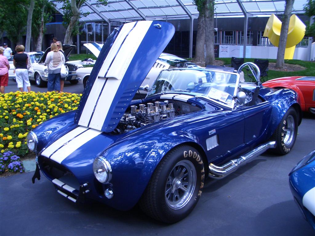 2009_CONCOURS_DE_NICE_Large_