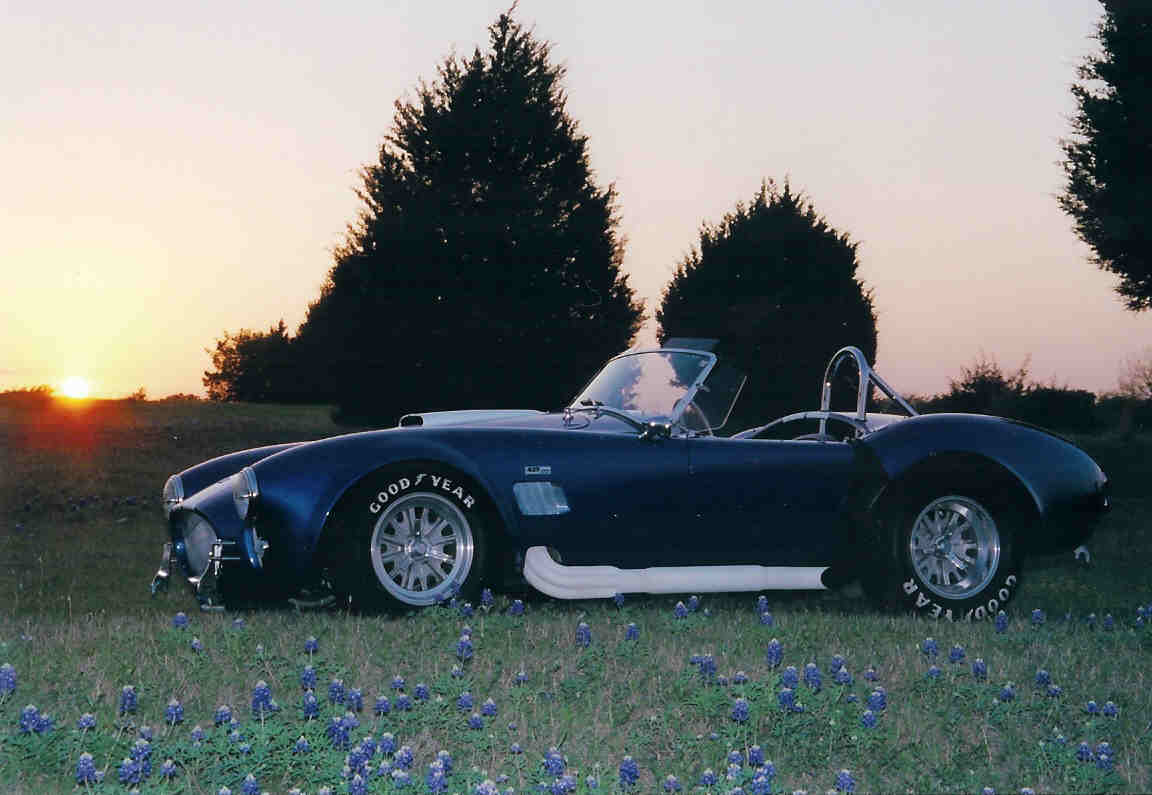 20105bluebonnets_on_film