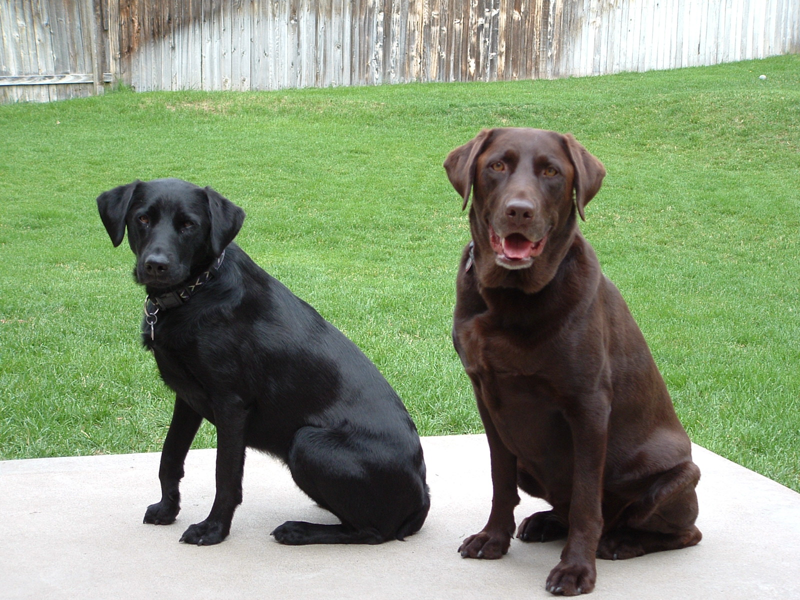 204462004_0704Image0032