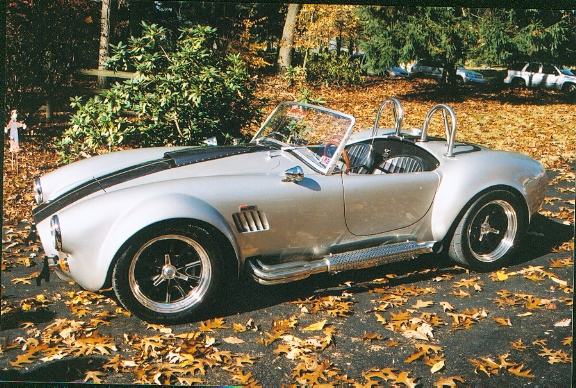 20619cobra