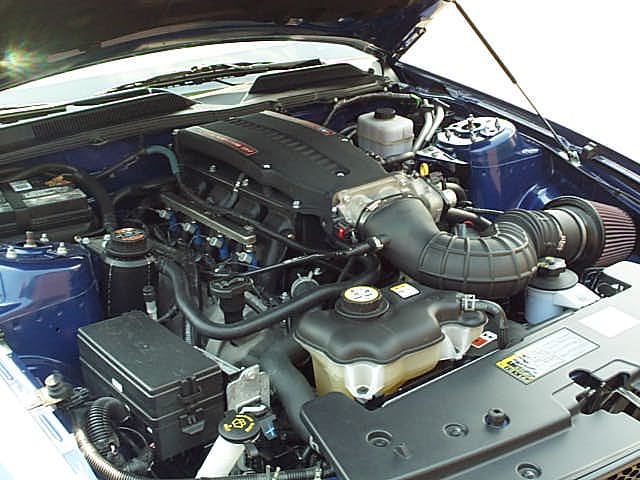 20735PSP05CobraNew_010