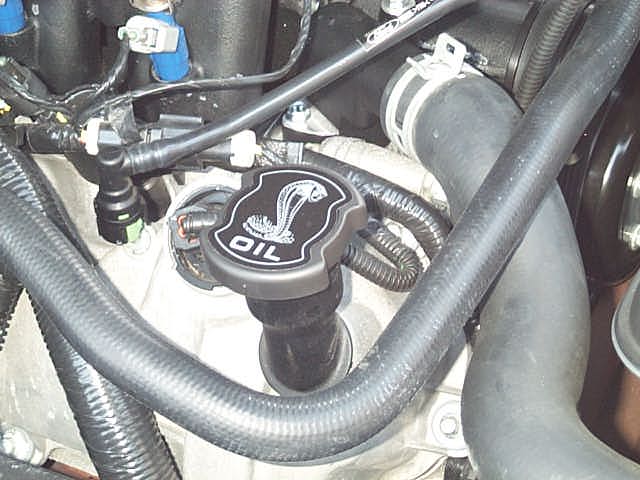 20735PSP05CobraNew_013