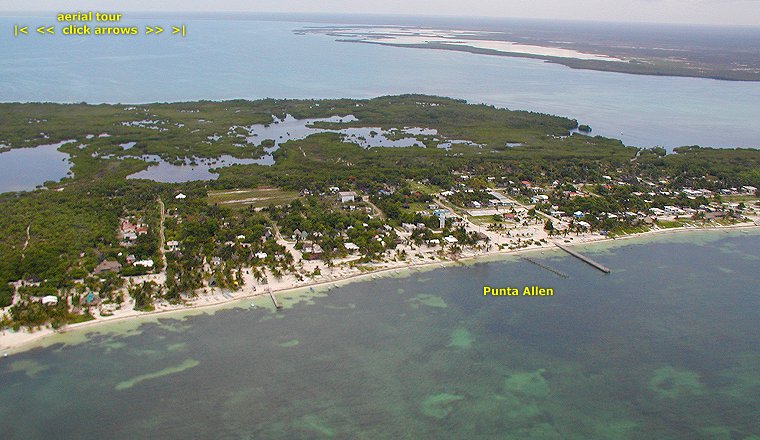 20801PUNTA_ALLEN