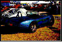 21074cobra_1_