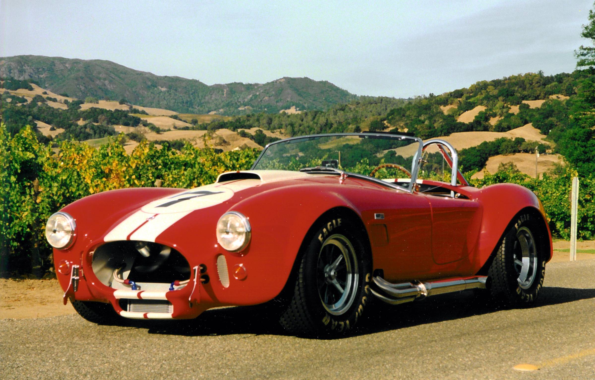 21218ERA_Cobra_414_reduced