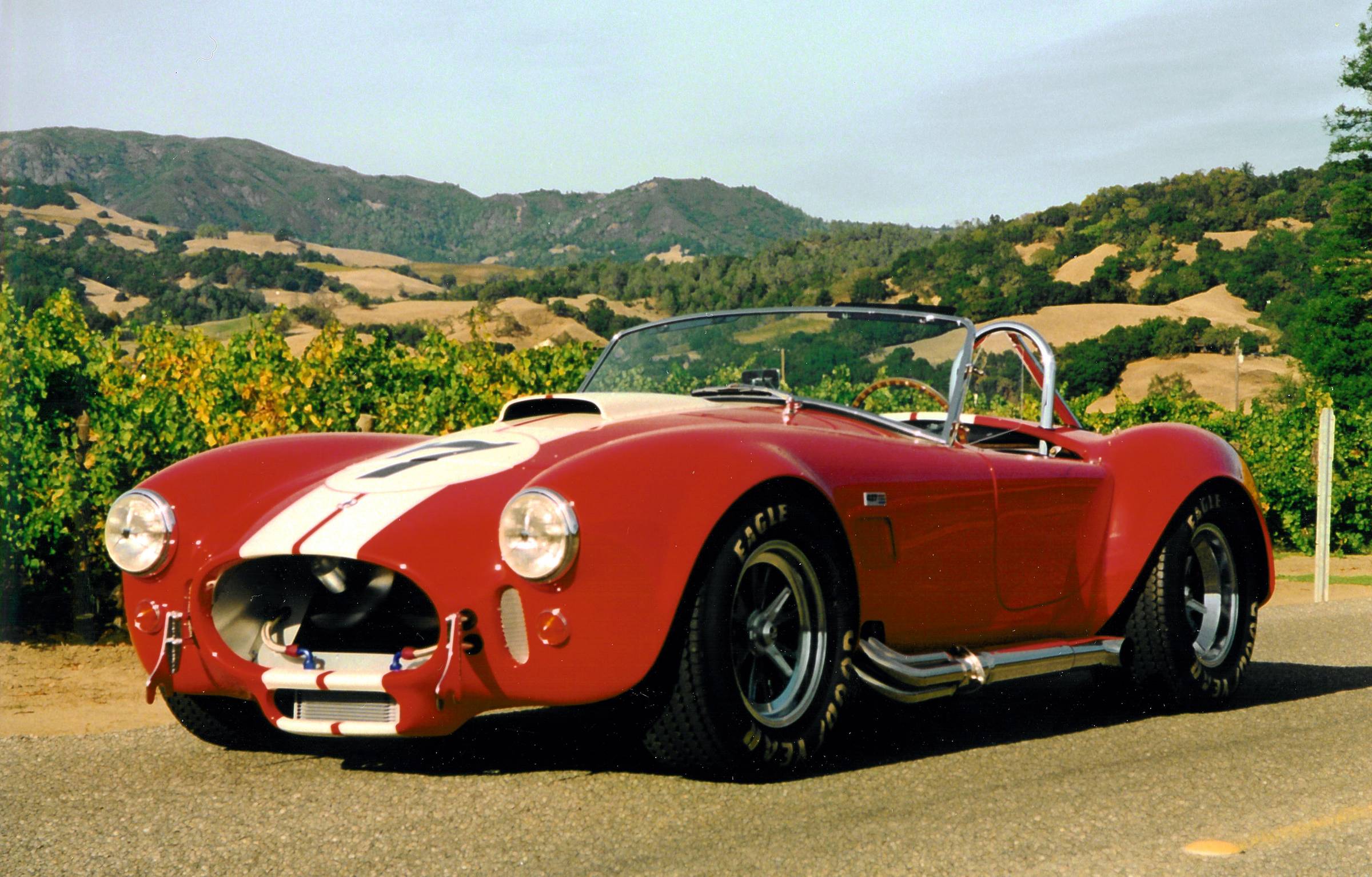 21218ERA_Cobra_414_smaller