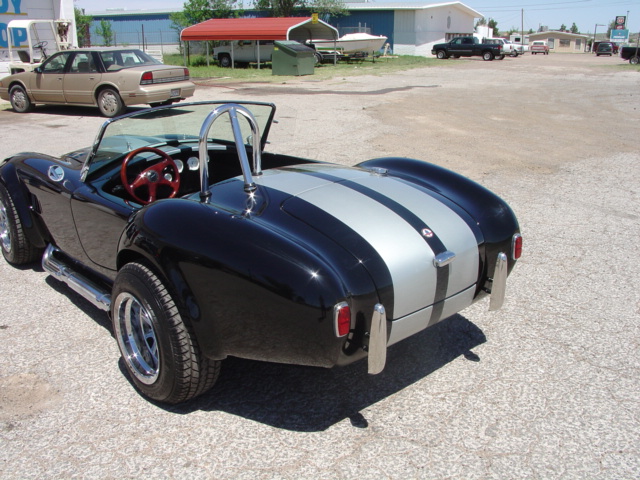 215691966_cobra_done0001