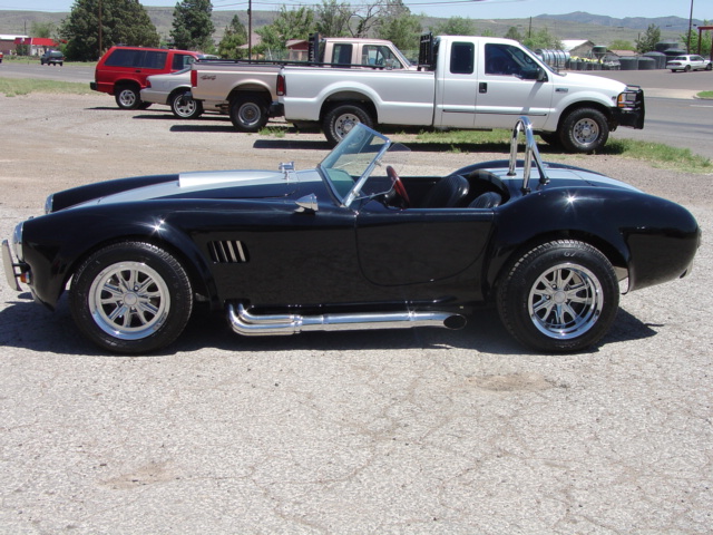 215691966_cobra_done0010
