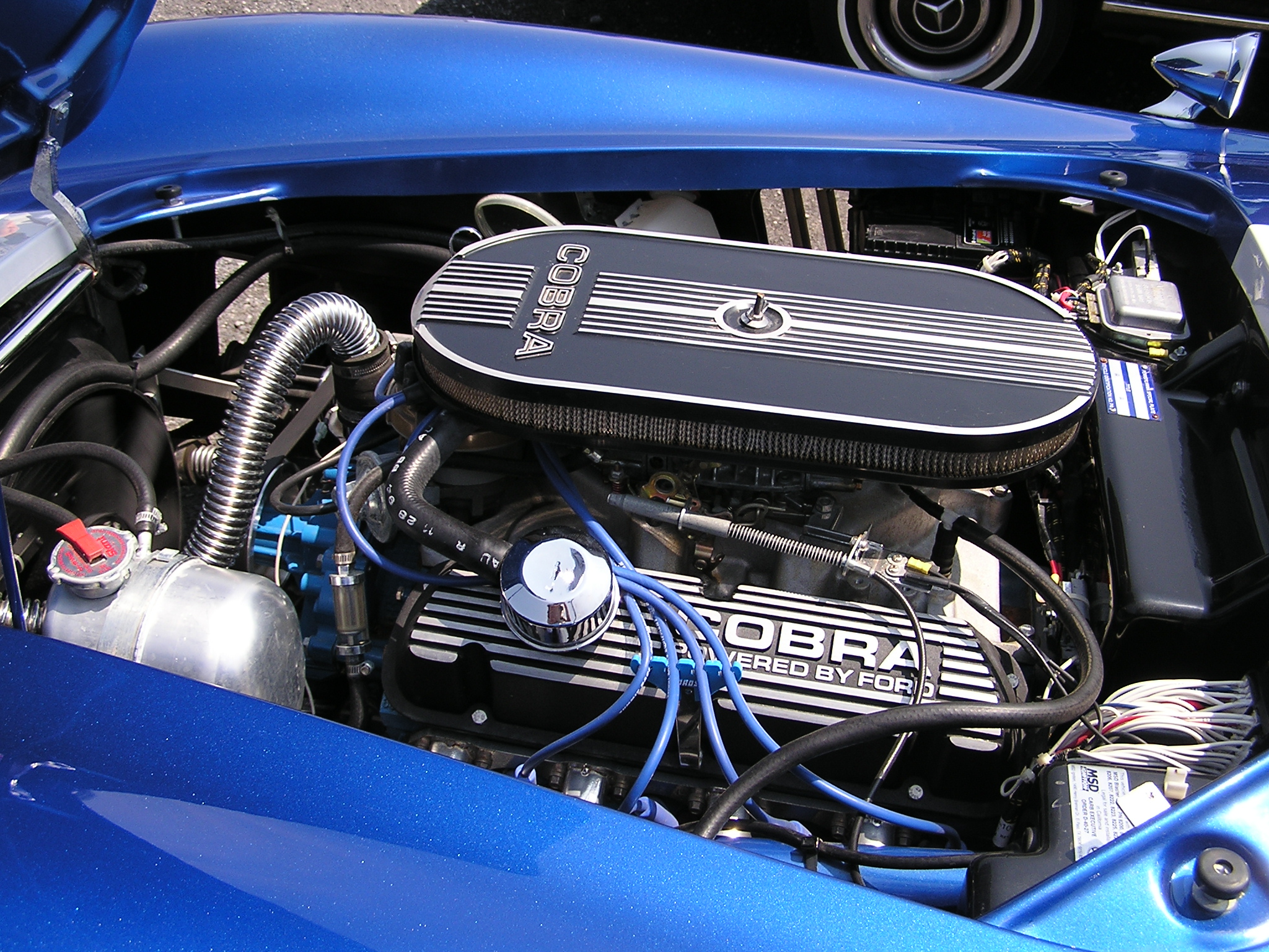 21679RICHS_COBRA_003