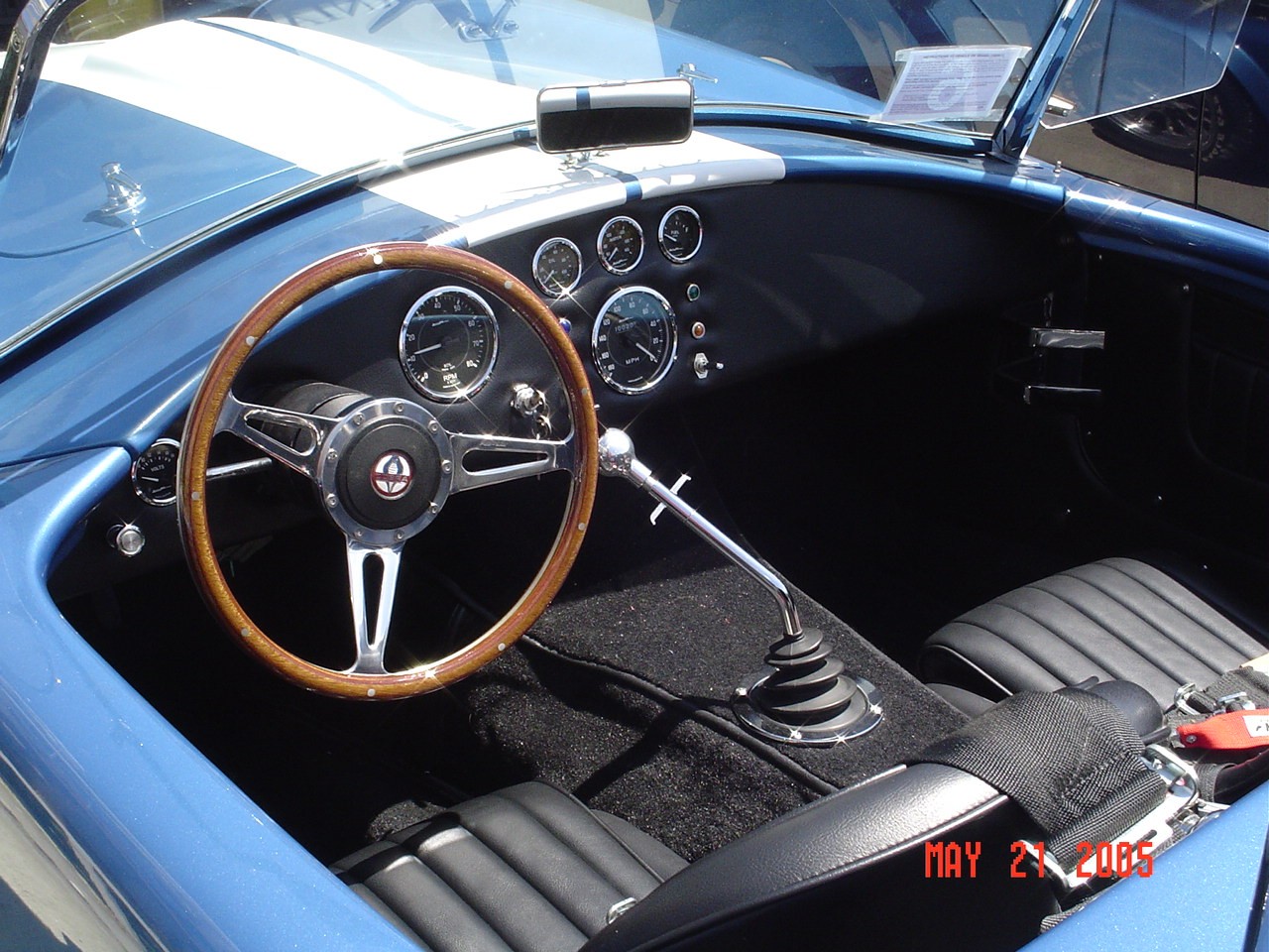 22090Cobra_dash_left