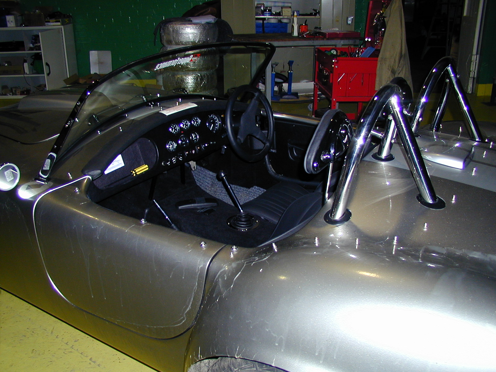 22779Ugly_Duckling_002