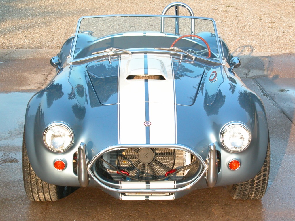 22835sm_cobra_8_cmprssd