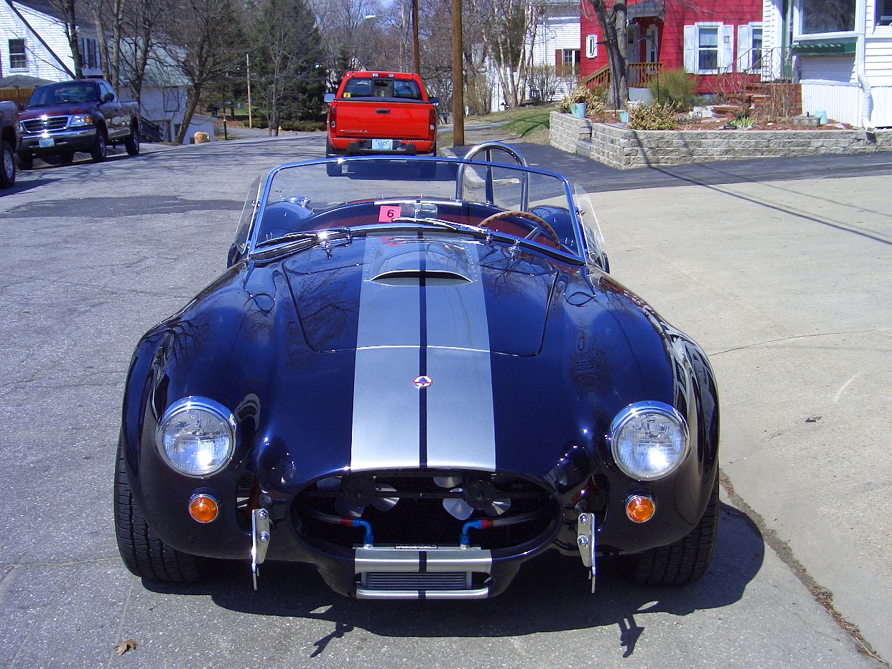 22893cobra_033