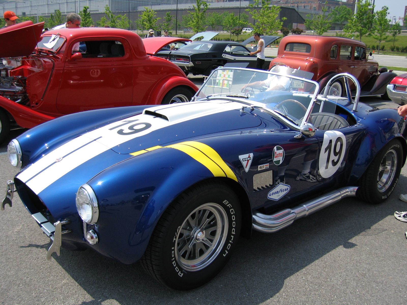 22918cobra_035