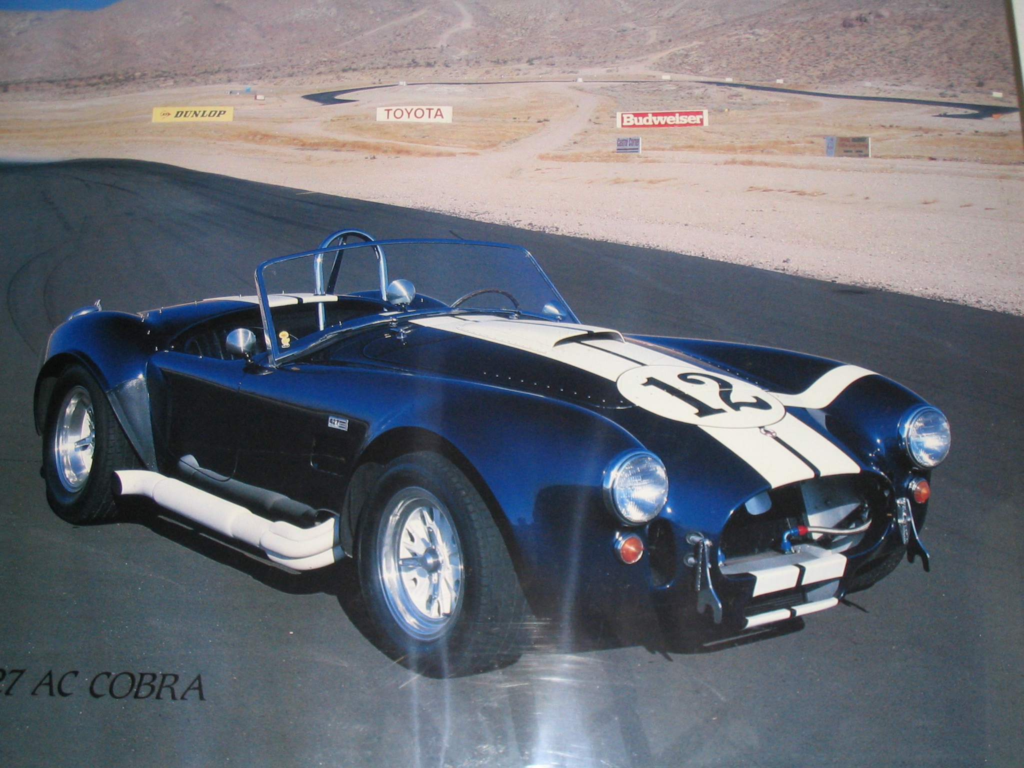 23160Cobra_Wall_Poster