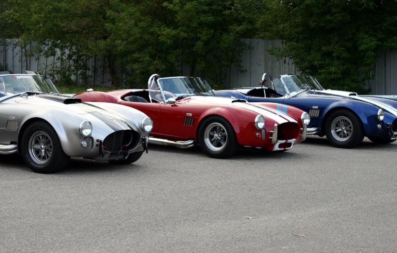 23564Red_Cobra_with_two