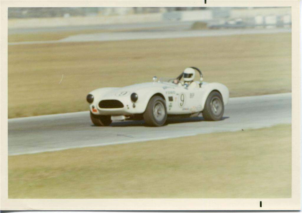 289_Cobra_maybe_Savannah_Large_