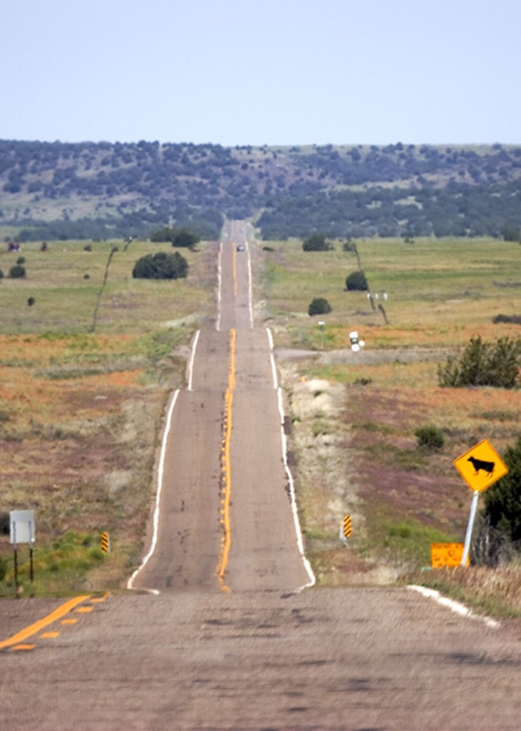 43797313_OntheroadtoSeligman