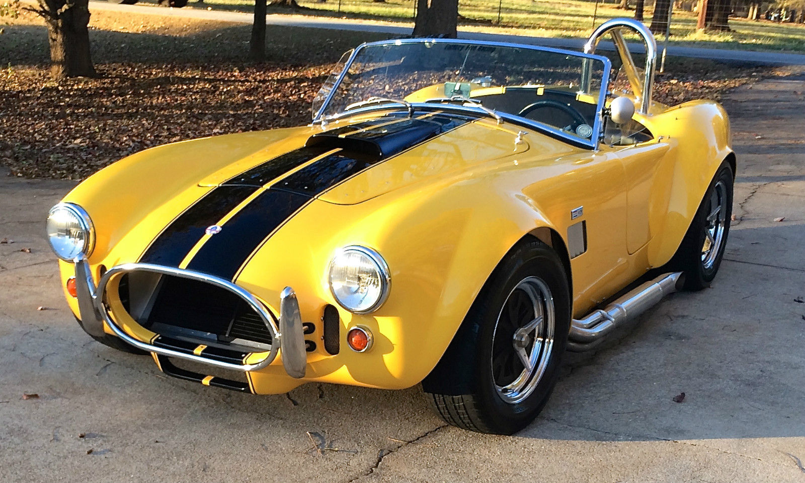 65_SHELBY_COBRA_01