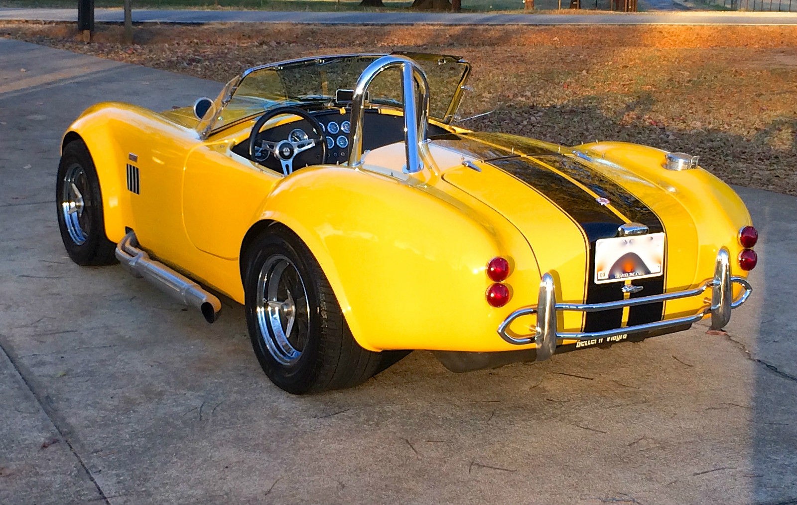 65_SHELBY_COBRA_03