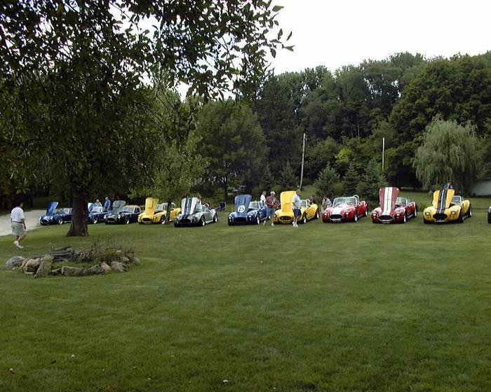 9490cobra_picnic-left