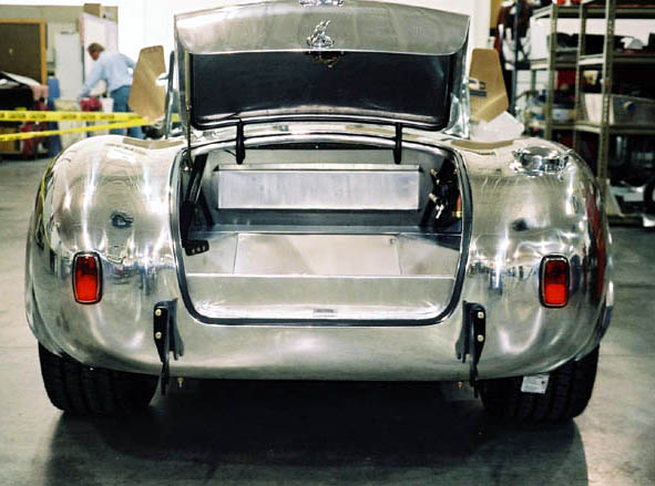 9574cobra_4331_trunk