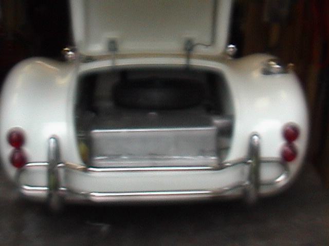 9617Trunk_with_tire_and_tank