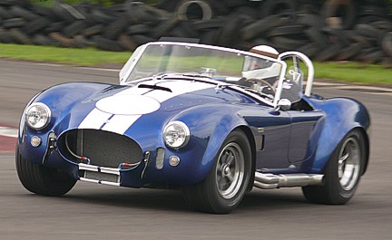 97_Blue_Cobra