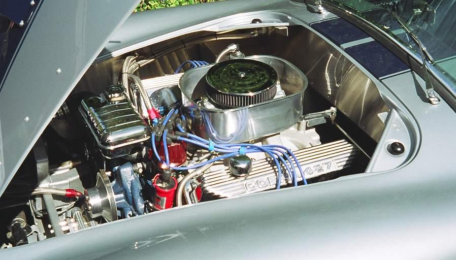 9813CobraPictures012