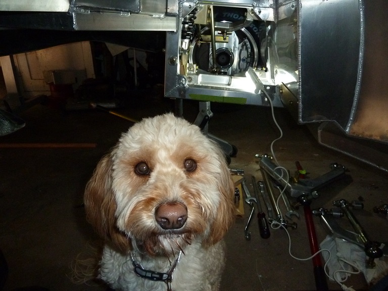 Alfie_with_rr_suspension_s