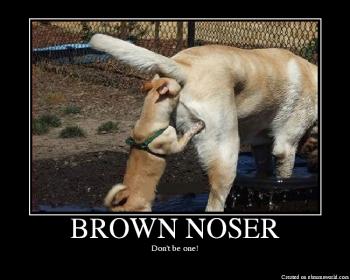 BROWNNOSER