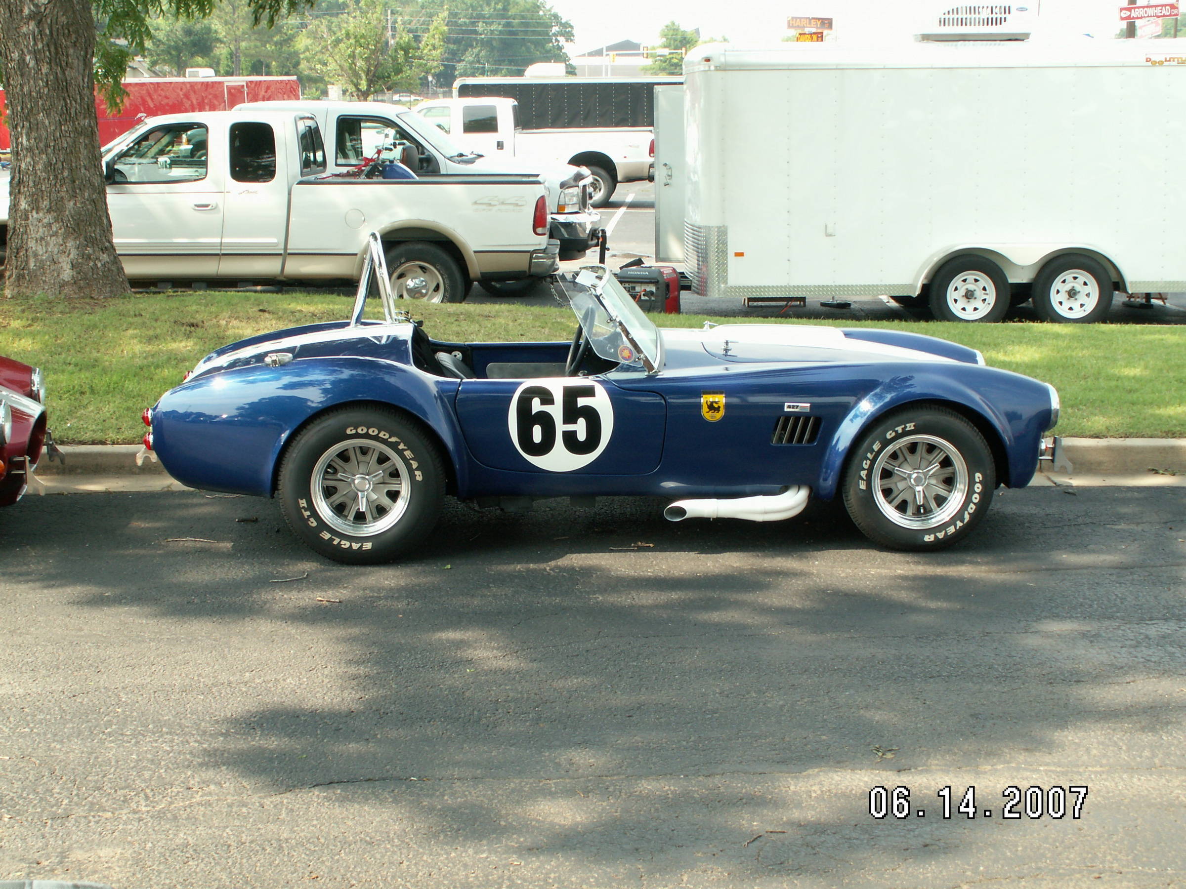 Cobra_0066