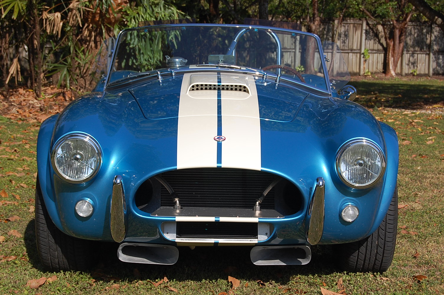 Cobra_289FIA_ERA_scoops_2