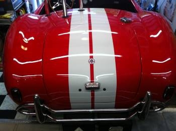 Cobra_Back_12_14_2011